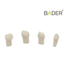 Set de dientes para pulpotomía para AK6 BADER® DENTAL